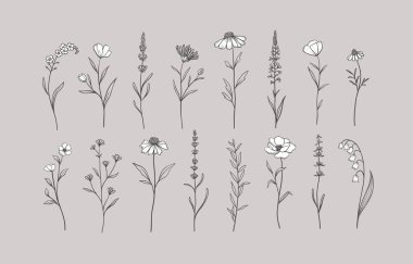 Otlar ve yabani çiçekler seti. El çizimi çiçek elementleri. Vektör illüstrasyonu, EPS 10.