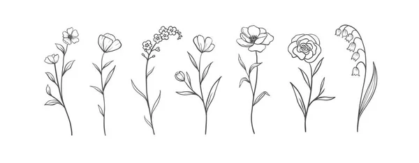 Set Van Kruiden Wilde Bloemen Handgetekende Bloemenelementen Vectorillustratie Eps — Stockvector