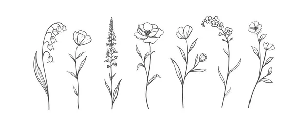 Ensemble Herbes Fleurs Sauvages Eléments Floraux Dessinés Main Illustration Vectorielle — Image vectorielle