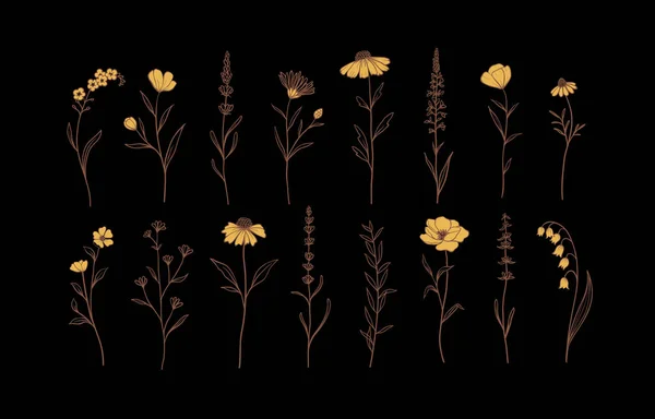 Set Van Kruiden Wilde Bloemen Handgetekende Bloemenelementen Vectorillustratie Eps — Stockvector