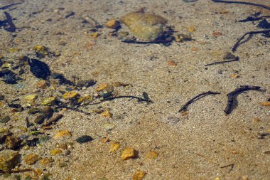 İskoçya nereye bakarsan bak güzel manzaralarla doludur. Doğanın güzelliğini kelimelere dökmek zordur..