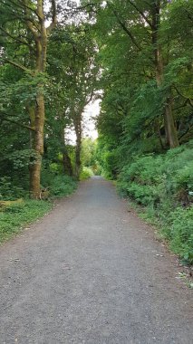 Glenariff, Glens Kraliçesi, Glenariff 'in dokuz Antrim' inden biri. Glenariff Orman Parkı 1.000 hektardan fazla ekili orman, göl, eğlence alanları ve doğa rezervlerini kapsıyor.