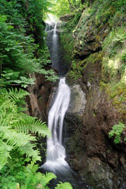 Glenariff, Glens Kraliçesi, Glenariff 'in dokuz Antrim' inden biri. Glenariff Orman Parkı 1.000 hektardan fazla ekili orman, göl, eğlence alanları ve doğa rezervlerini kapsıyor.