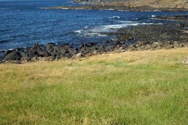 Dev Geçidi yaklaşık olarak 40 bin tek biçimli bazalt sütundan oluşur ve bu sütunlar yaklaşık 60 milyon yaşındadır..