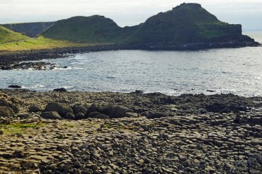 Dev Geçidi yaklaşık olarak 40 bin tek biçimli bazalt sütundan oluşur ve bu sütunlar yaklaşık 60 milyon yaşındadır..