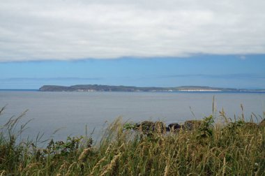 Carrick-a-Rede, Kuzey İrlanda 'da Ballycastle ile Ballintoy arasında yer alan bir adadır. Ada, anakaraya uzanan ve ıssız olan bir asma köprü ile birbirine bağlı..
