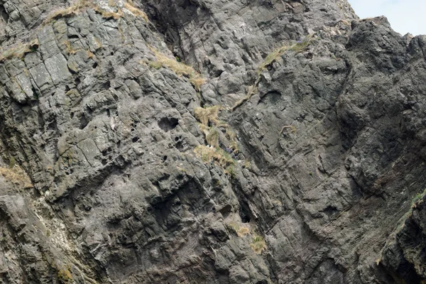 Gobbins Cliff Path Islandmagee County Antrim Northern Ireland Causeway Coastal — Stock Photo, Image