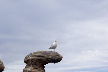Kanlı Köprü Newcastle 'ın yaklaşık 3 mil güneyinde Kilkeel yolunda yer almaktadır ve muhtemelen Güney Bölgesi' nin en bilinen simgelerinden biridir..