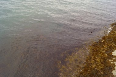 Donaghadee Limanı 'nda günbatımı