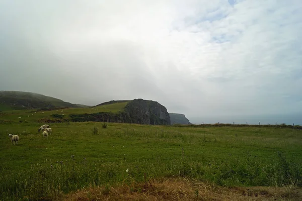 Inishowen Irish Inis Eoghain Είναι Μεγαλύτερη Χερσόνησος Της Ιρλανδίας Και — Φωτογραφία Αρχείου