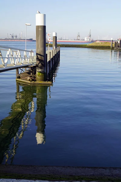 Hoek Van Holland Rotterdami Település Megőrizte Egy Kis Tengerparti Város — Stock Fotó