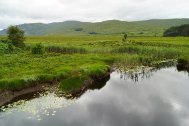 Glenveagh Ulusal Parkı İrlanda 'nın Donegal ilçesinde yer almaktadır. İrlanda 'daki altı milli parkın en büyüğüdür..