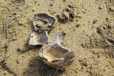 Fintra plajı Killybegs balıkçılık limanının birkaç kilometre dışında güzel kumlu bir sahil..