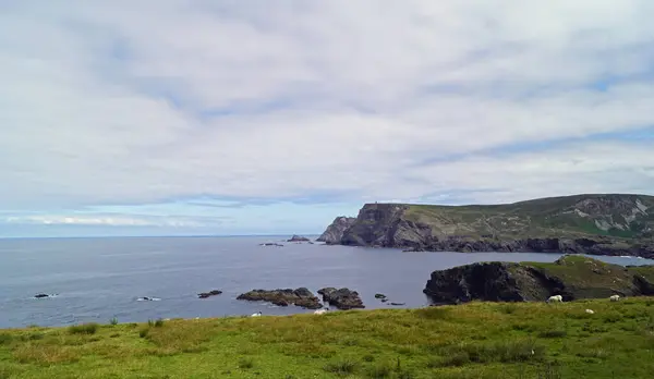 Ierse Kusten Kliffen Tussen Glencolumbkill Malin Beg Ierland Vol Met — Stockfoto