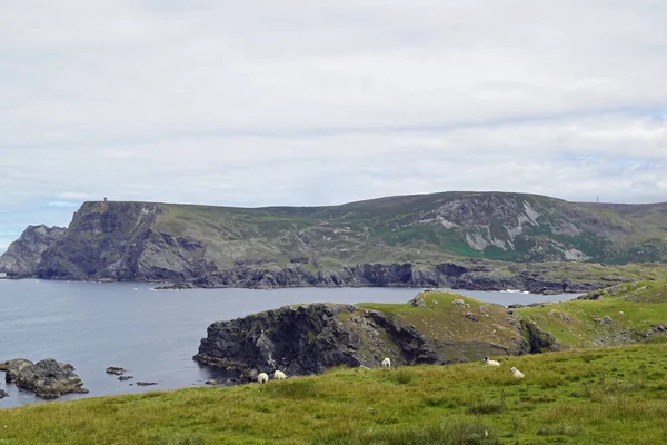 Ireland\'s coasts - Cliffs between Glencolumbkill and Malin Beg. Ireland is full of beautiful landscapes where ever you look. The beauty of nature is hard to put into words.