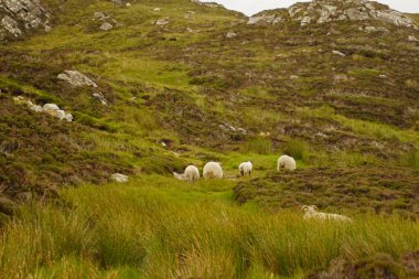 İrlanda 'nın Donegal eyaletinin batısındaki Slieve League uçurumları Atlantik Okyanusu' nun 601 metre yüksekliğindedir..