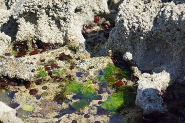 Vahşi Atlantik Yolu, St. John 's Point' in dar yarımadasını geçiyor. Yarımadanın güney ucunda, aslında St. John 's Point' te, yol tipik bir İrlanda manzarasına çıkar. McSwyne Körfezi ve Adja 'nın en iyi manzarası her zaman oradadır.