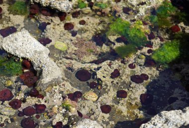 Vahşi Atlantik Yolu, St. John 's Point' in dar yarımadasını geçiyor. Yarımadanın güney ucunda, aslında St. John 's Point' te, yol tipik bir İrlanda manzarasına çıkar. McSwyne Körfezi ve Adja 'nın en iyi manzarası her zaman oradadır.