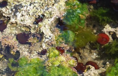 Vahşi Atlantik Yolu, St. John 's Point' in dar yarımadasını geçiyor. Yarımadanın güney ucunda, aslında St. John 's Point' te, yol tipik bir İrlanda manzarasına çıkar. McSwyne Körfezi ve Adja 'nın en iyi manzarası her zaman oradadır.