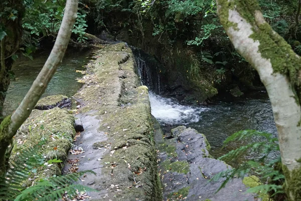 Fowley Falls Nur Ein Paar Hundert Meter Vom Organic Centre — Stockfoto