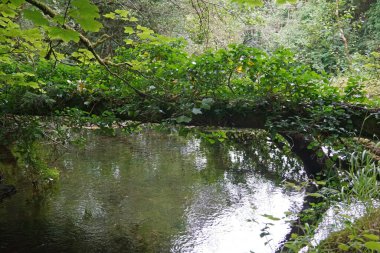 Fowley Şelalesi. Organik Merkezi 'nin birkaç yüz metre uzağında Fowley' s Fall 'un alt girişi var. Kuzey Leitrim' in en iyi korunan sırlarından biri..