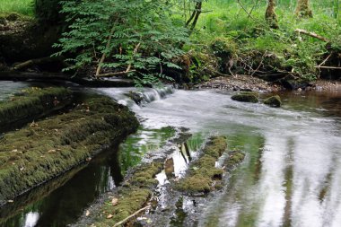 Fowley Şelalesi. Organik Merkezi 'nin birkaç yüz metre uzağında Fowley' s Fall 'un alt girişi var. Kuzey Leitrim' in en iyi korunan sırlarından biri..