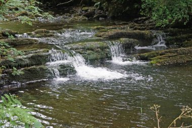 Fowley Şelalesi. Organik Merkezi 'nin birkaç yüz metre uzağında Fowley' s Fall 'un alt girişi var. Kuzey Leitrim' in en iyi korunan sırlarından biri..