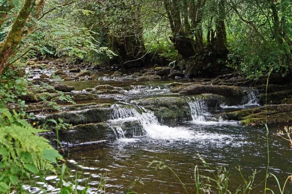 Fowleys Fall Bara Några Hundra Meter Från Organic Centre Ligger — Stockfoto