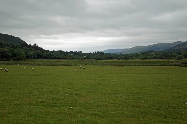 Ирландия Полна Красивых Пейзажей Куда Посмотрели Красота Природы Трудно Выразить — стоковое фото