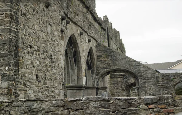 Északnyugat Írországi Sligo Apátságot 1253 Ban Építették Maurice Fitzgerald Offaly — Stock Fotó