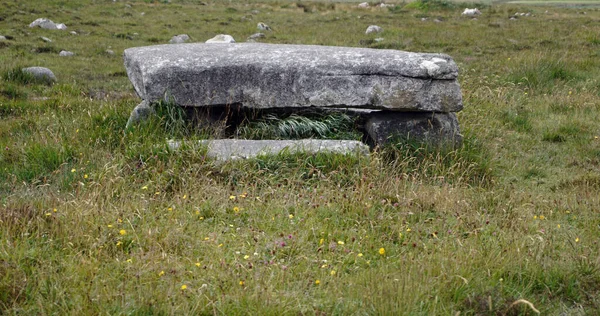 조각품은아 코요에 아일랜드 서해안에서 수있다 — 스톡 사진
