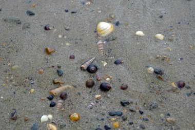 Elly Beach, Bal 'ın 9 km güneyinde, Erris, Mayo' da Mhuirthead 'de yer alan güzel bir kumsaldır..