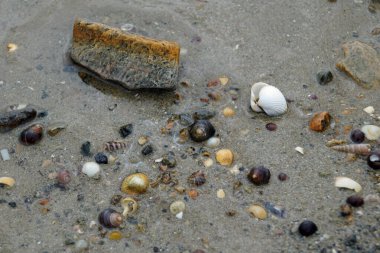 Elly Beach, Bal 'ın 9 km güneyinde, Erris, Mayo' da Mhuirthead 'de yer alan güzel bir kumsaldır..