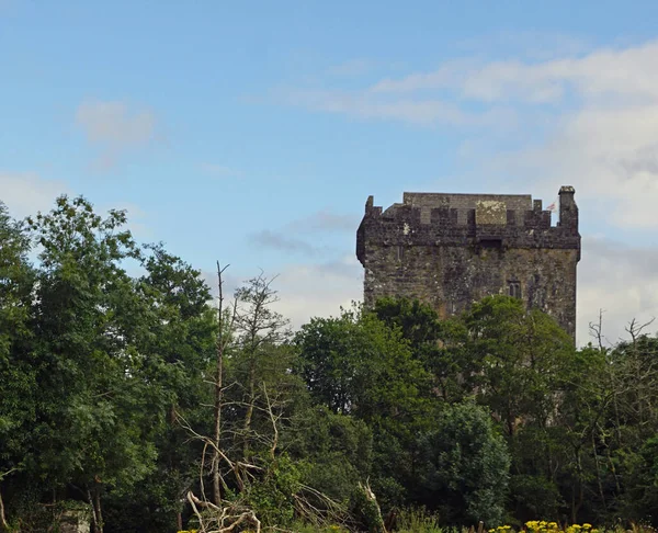 Aughanure Castle Está Localizado Cerca Três Quilômetros Oughterard Perto Costa — Fotografia de Stock