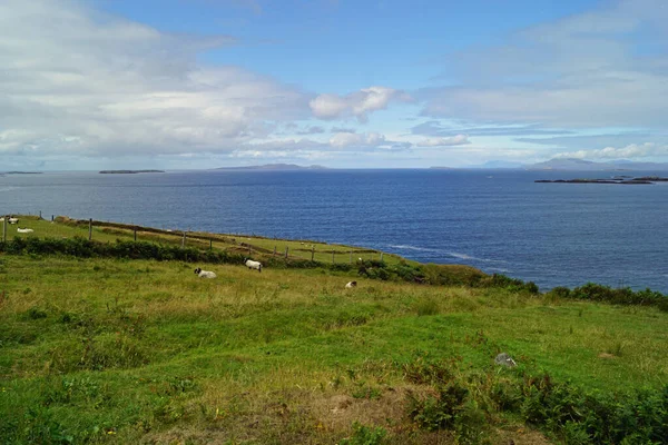 Estamos Situados Hermosa Península Renvyle Connemara Bien Vale Pena Una —  Fotos de Stock