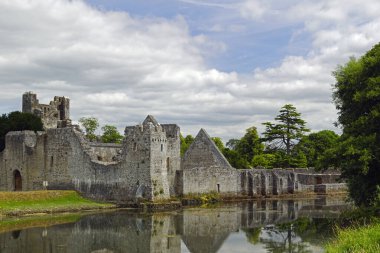 Desmond Şatosu Adare köyünün kıyısında, N21 'in hemen dışında ana Limerick' ten Kerry yoluna kadar..