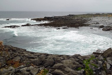 Moher Geopark 'ın Burren & Uçurumlarına Yürü.
