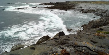 Moher Geopark 'ın Burren & Uçurumlarına Yürü.
