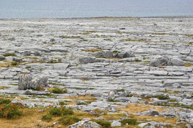 Fanore Beg, İrlanda 'da, Derreen ED, Killonaghan Civil Parish, Barony, Co. Clare' de bir şehirdir..