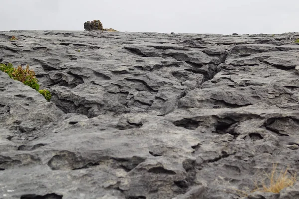 Procházka Burren Cliffs Moher Geopark — Stock fotografie