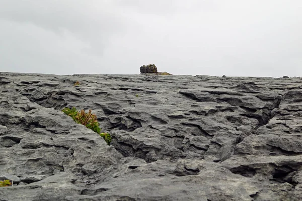 Walk Burren Cliffs Moher Geopark — Stock Photo, Image