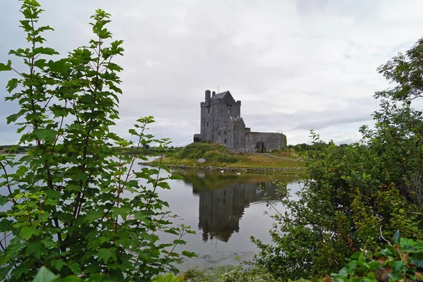 Dunguaire Kalesi Rlanda Nın Galway Ilçesinin Güneyinde Kinvara Yakınlarında Yer — Stok fotoğraf