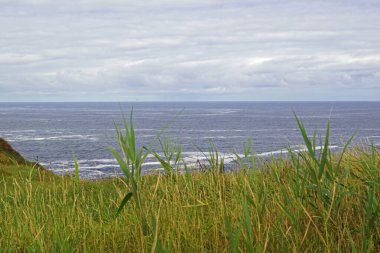 Kilkee Cliff yürüyüşü Kilkee Kayalıkları Kafesi, Pollock Holes otoparkından başlayarak Kilkee Kayalıkları 'nda 2-3 saatlik bir döngü yürüyüşüdür..