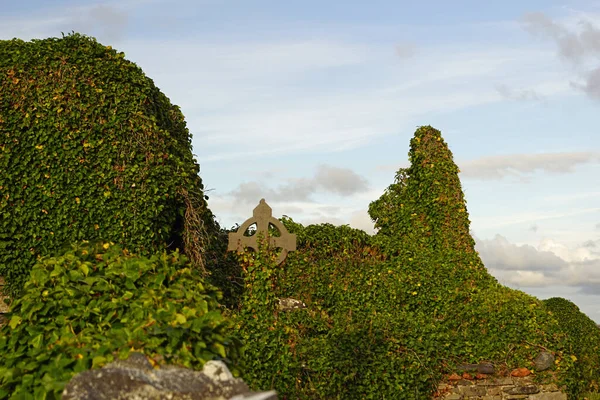 Ruiny Średniowiecznego Kościoła Kilmacreehy Lub Kilmacrehy Irlandzki Cill Mhic Creiche — Zdjęcie stockowe