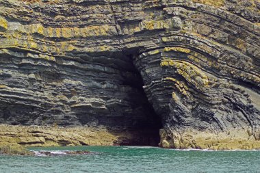 Kıyı - Yunus turu, Carrigaholt, co clare, İrlanda