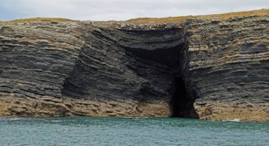 Kıyı - Yunus turu, Carrigaholt, co clare, İrlanda