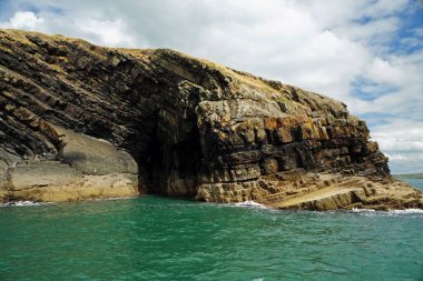 Kıyı - Yunus turu, Carrigaholt, co clare, İrlanda