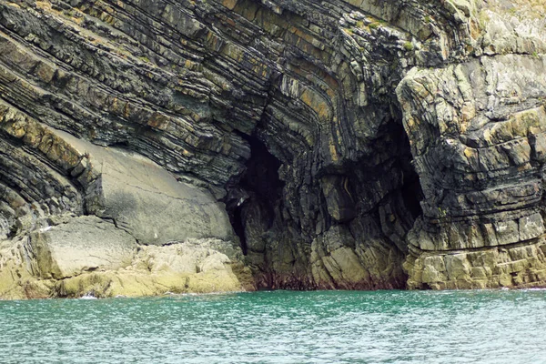 Ακτή Dolphin Tour Carrigaholt Clare Ιρλανδία — Φωτογραφία Αρχείου