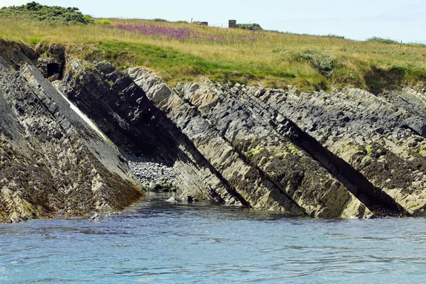 Costa Passeio Golfinhos Carrigaholt Clare Irlanda — Fotografia de Stock