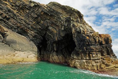 Kıyı - Yunus turu, Carrigaholt, co clare, İrlanda